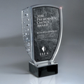 Medium Champagne Accent Lucite Shield Award w/ Black Marble Base